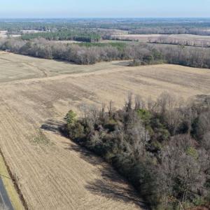 Photo #4 of Off Euray Moore Road (Lot 2), Warsaw, NC 10.1 acres