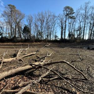 Photo #39 of Off Euray Moore Road (Lot 2), Warsaw, NC 10.1 acres