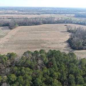 Photo #6 of Off Euray Moore Road (Lot 2), Warsaw, NC 10.1 acres