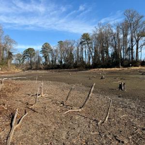 Photo #42 of Off Euray Moore Road (Lot 2), Warsaw, NC 10.1 acres
