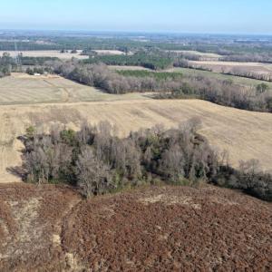 Photo #10 of Off Euray Moore Road (Lot 3), Warsaw, NC 10.1 acres