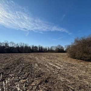 Photo #37 of Off Euray Moore Road (Lot 3), Warsaw, NC 10.1 acres
