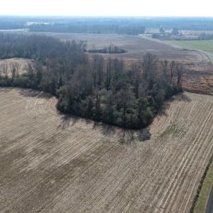 Photo #47 of Off Euray Moore Road (Lot 3), Warsaw, NC 10.1 acres