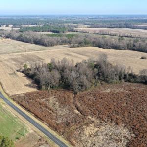 Photo #12 of Lot 4 Off of  Euray Moore Road, Warsaw, NC 12.2 acres
