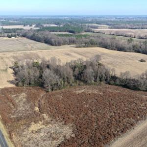 Photo #13 of Lot 4 Off of  Euray Moore Road, Warsaw, NC 12.2 acres