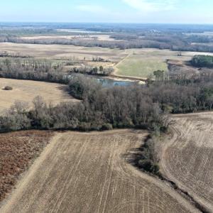 Photo #14 of Lot 4 Off of  Euray Moore Road, Warsaw, NC 12.2 acres