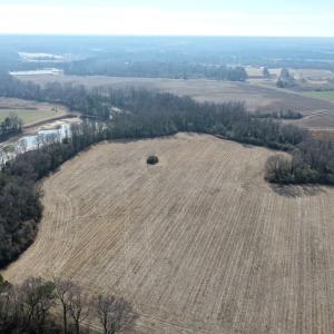 Photo #19 of Lot 4 Off of  Euray Moore Road, Warsaw, NC 12.2 acres