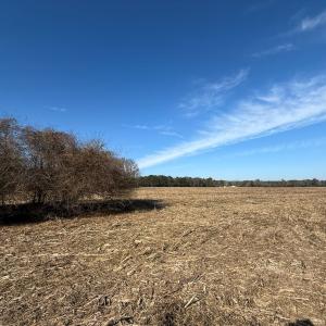 Photo #22 of Lot 4 Off of  Euray Moore Road, Warsaw, NC 12.2 acres