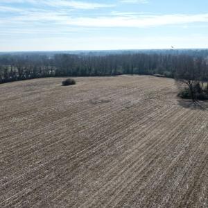 Photo #28 of Lot 4 Off of  Euray Moore Road, Warsaw, NC 12.2 acres