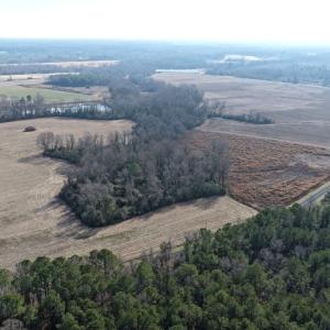 Photo #5 of Lot 4 Off of  Euray Moore Road, Warsaw, NC 12.2 acres