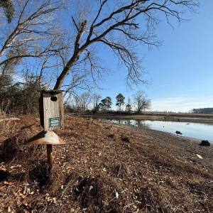 Photo #7 of Lot 4 Off of  Euray Moore Road, Warsaw, NC 12.2 acres