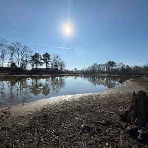 Photo #8 of Lot 4 Off of  Euray Moore Road, Warsaw, NC 12.2 acres