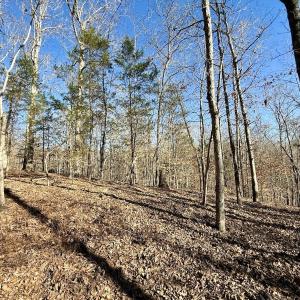 Photo #11 of 666 Soloman Rd, Prospect Hill, NC 28.0 acres