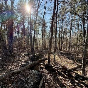 Photo #12 of 666 Soloman Rd, Prospect Hill, NC 28.0 acres