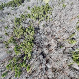 Photo #13 of 666 Soloman Rd, Prospect Hill, NC 28.0 acres