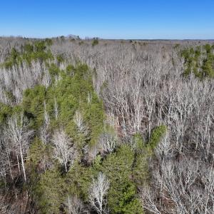 Photo #14 of 666 Soloman Rd, Prospect Hill, NC 28.0 acres