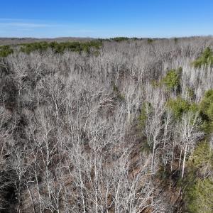 Photo #15 of 666 Soloman Rd, Prospect Hill, NC 28.0 acres
