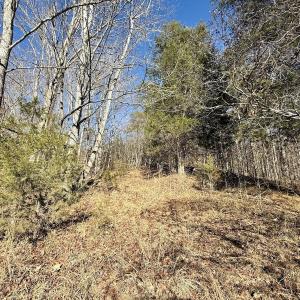 Photo #16 of 666 Soloman Rd, Prospect Hill, NC 28.0 acres