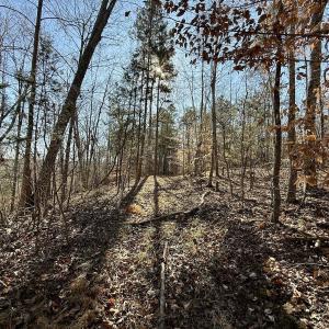 Photo #18 of 666 Soloman Rd, Prospect Hill, NC 28.0 acres
