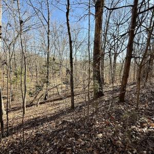Photo #20 of 666 Soloman Rd, Prospect Hill, NC 28.0 acres