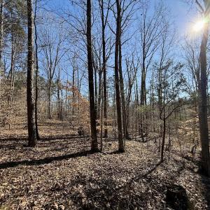 Photo #26 of 666 Soloman Rd, Prospect Hill, NC 28.0 acres