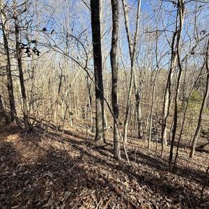 Photo #27 of 666 Soloman Rd, Prospect Hill, NC 28.0 acres