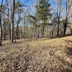 Photo #29 of 666 Soloman Rd, Prospect Hill, NC 28.0 acres