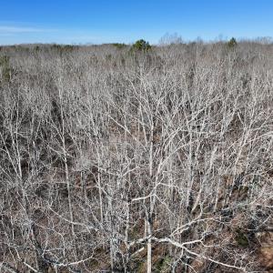 Photo #35 of 666 Soloman Rd, Prospect Hill, NC 28.0 acres