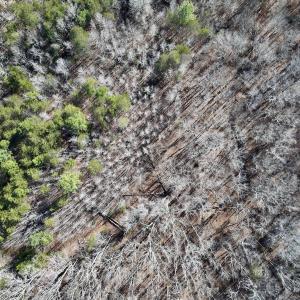 Photo #36 of 666 Soloman Rd, Prospect Hill, NC 28.0 acres