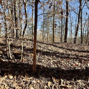 Photo #38 of 666 Soloman Rd, Prospect Hill, NC 28.0 acres