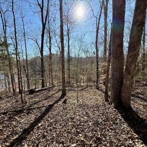 Photo #4 of 666 Soloman Rd, Prospect Hill, NC 28.0 acres