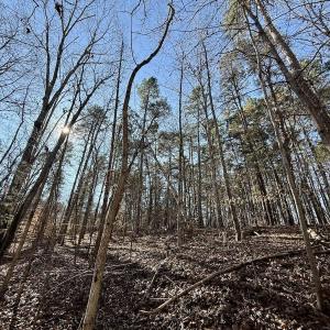 Photo #39 of 666 Soloman Rd, Prospect Hill, NC 28.0 acres