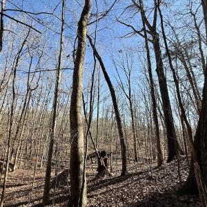 Photo #40 of 666 Soloman Rd, Prospect Hill, NC 28.0 acres