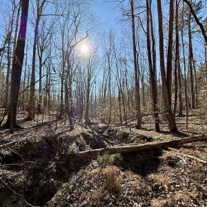 Photo #41 of 666 Soloman Rd, Prospect Hill, NC 28.0 acres