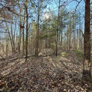 Photo #42 of 666 Soloman Rd, Prospect Hill, NC 28.0 acres