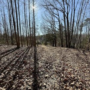 Photo #43 of 666 Soloman Rd, Prospect Hill, NC 28.0 acres