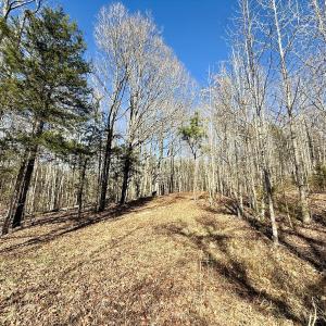 Photo #44 of 666 Soloman Rd, Prospect Hill, NC 28.0 acres