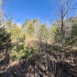 Photo #46 of 666 Soloman Rd, Prospect Hill, NC 28.0 acres