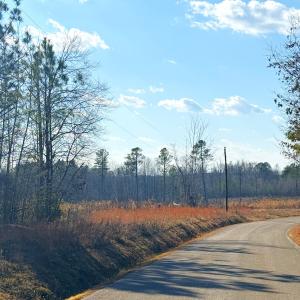 Photo #16 of Off White Oak Road, Dewitt, VA 52.5 acres