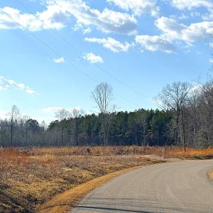 Photo #17 of Off White Oak Road, Dewitt, VA 52.5 acres