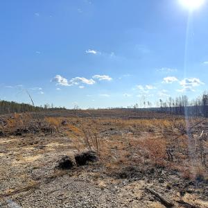 Photo #19 of Off White Oak Road, Dewitt, VA 52.5 acres