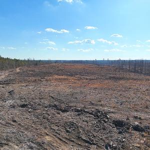 Photo #20 of Off White Oak Road, Dewitt, VA 52.5 acres