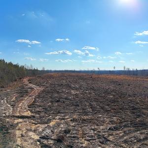 Photo #22 of Off White Oak Road, Dewitt, VA 52.5 acres