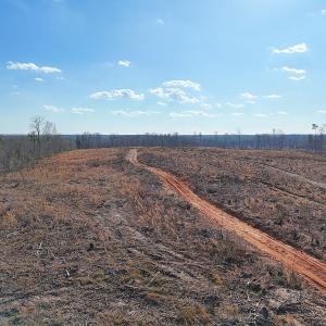 Photo #26 of Off White Oak Road, Dewitt, VA 52.5 acres