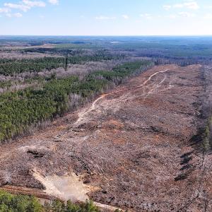 Photo #1 of Off White Oak Road, Dewitt, VA 52.5 acres