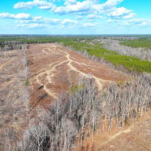 Photo #5 of Off White Oak Road, Dewitt, VA 52.5 acres