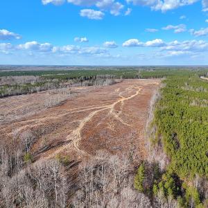 Photo #10 of Off White Oak Road, Dewitt, VA 52.5 acres