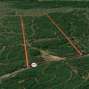 Photo #14 of Off White Oak Road, Dewitt, VA 52.5 acres