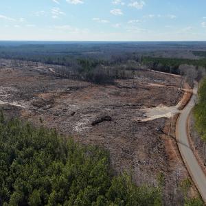 Photo #15 of Off White Oak Road, Dewitt, VA 52.5 acres