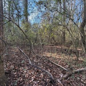 Photo #19 of Off Euray Moore Road (Lot 5), Warsaw, NC 6.2 acres